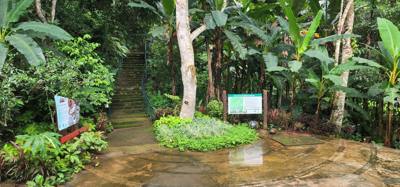 First up this morning was a visit to the Queen Sirikit Canopy Walk.  Beautiful views and listing to the moving water of 