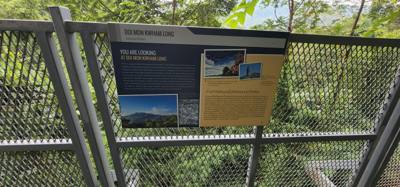 First up this morning was a visit to the Queen Sirikit Canopy Walk. Beautiful views and listing to the moving water of