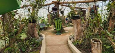 Up the hill from the canopy walk was the botanical garden.  Super beautiful.  Always stunning to see so many different a