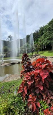Travel photo