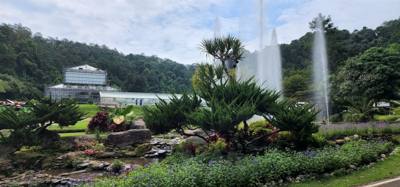 Part 2 if our botanical garden visit.