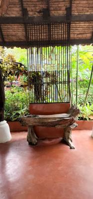 Lunch today was at the Bai Orchid.  Buffet style authentic Thai food.  More plants to take in.  Butterfly Farm was close