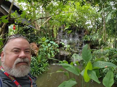 Lunch today was at the Bai Orchid.  Buffet style authentic Thai food.  More plants to take in.  Butterfly Farm was close