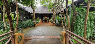 Lunch today was at the Bai Orchid. Buffet style authentic Thai food. More plants to take in. Butterfly Farm was close