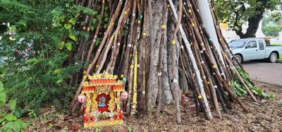 Reliquaries of Northern Thai Royalty.  Tour guide Udom explained the sticks against the tree and other things.  I sugges