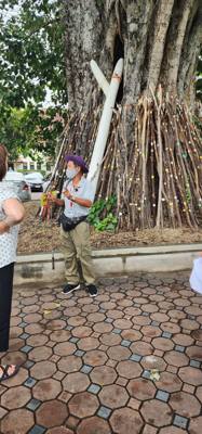 Reliquaries of Northern Thai Royalty. Tour guide Udom explained the sticks against the tree and other things. I sugges