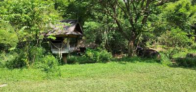 A visit to the Elephant Eco Valley elephant camp was a great addition to the trip. Passion fruit drinks greeted us afte