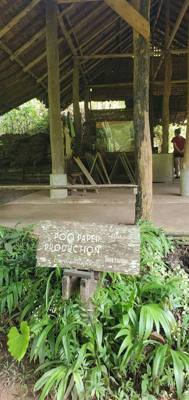 A visit to the Elephant Eco Valley elephant camp was a great addition to the trip. Passion fruit drinks greeted us afte