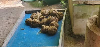 A visit to the Elephant Eco Valley elephant camp was a great addition to the trip. Passion fruit drinks greeted us afte