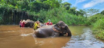 A visit to the Elephant Eco Valley elephant camp was a great addition to the trip. Passion fruit drinks greeted us afte