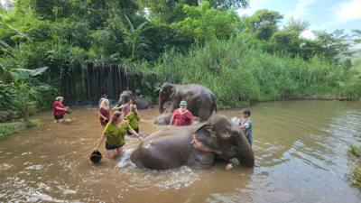 A visit to the Elephant Eco Valley elephant camp was a great addition to the trip. Passion fruit drinks greeted us afte