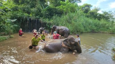 A visit to the Elephant Eco Valley elephant camp was a great addition to the trip. Passion fruit drinks greeted us afte
