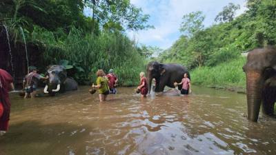 A visit to the Elephant Eco Valley elephant camp was a great addition to the trip. Passion fruit drinks greeted us afte