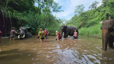 A visit to the Elephant Eco Valley elephant camp was a great addition to the trip. Passion fruit drinks greeted us afte