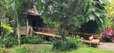 Next rest stop on the way to Chiang Rai.  Just as interesting as the last.  Neat restaurant on the Lao River.  A pie ven