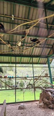 Next rest stop on the way to Chiang Rai.  Just as interesting as the last.  Neat restaurant on the Lao River.  A pie ven