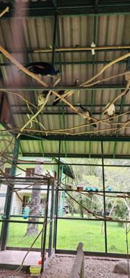 Next rest stop on the way to Chiang Rai.  Just as interesting as the last.  Neat restaurant on the Lao River.  A pie ven