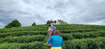 Our tour guide says “there isn't much to buy here". Everyone walks out with bags and bags of tea. The Choui Fong Tea P
