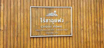 Our tour guide says “there isn't much to buy here". Everyone walks out with bags and bags of tea. The Choui Fong Tea P