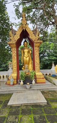 First Temple today. Lots of steps! Whew! This one was an adventure. We were told we can do the steps or do the path