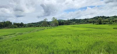 Travel photo