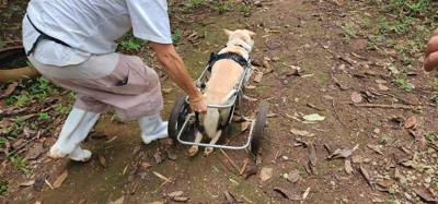 Travel photo