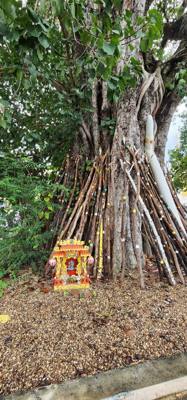 Spirit houses are a thing in Thailand.  I would say a majority of properties have at least one.  It's thought that spiri