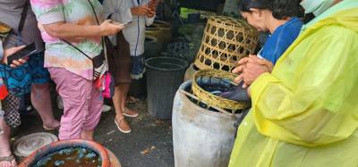 Stopped by a place that makes indigo items. Kind of fascinating process for how they create the dye with plants and ash