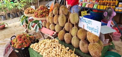 Stopped by a roadside market on the way to Sukhothai. Picked up some local fruits. Unique flavors and textures.