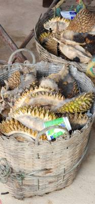Stopped by a roadside market on the way to Sukhothai. Picked up some local fruits. Unique flavors and textures.