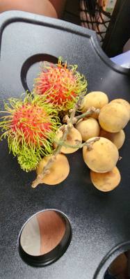 Stopped by a roadside market on the way to Sukhothai. Picked up some local fruits. Unique flavors and textures.