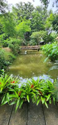 I swear every place we go has great food and wonderful botanicals.  Chaba Lagoon was no exception.  The food we ate was 