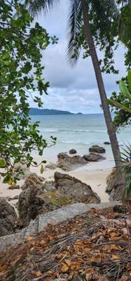 A walk along Patong Beach this morning after breakfast to get the juices flowing before heading out to Bangkok.