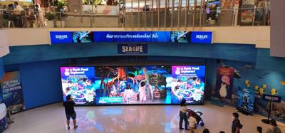 After our jaunt to Bangkok Harley Davidson we took
the BTS Skytrain down to Siam Station and went to the Sea Life aquari