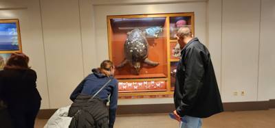 It's difficult to get through more than half of the Field Museum each time we come.  But so much cool stuff!