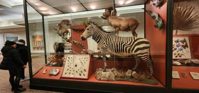 It's difficult to get through more than half of the Field Museum each time we come.  But so much cool stuff!