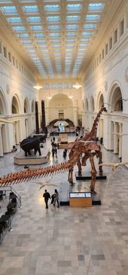 It's difficult to get through more than half of the Field Museum each time we come.  But so much cool stuff!