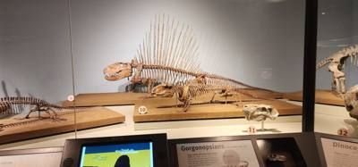It's difficult to get through more than half of the Field Museum each time we come.  But so much cool stuff!