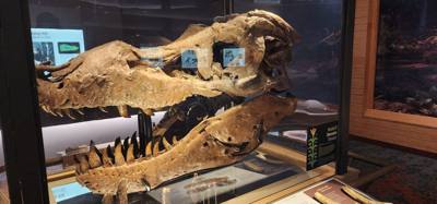 It's difficult to get through more than half of the Field Museum each time we come.  But so much cool stuff!