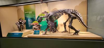 It's difficult to get through more than half of the Field Museum each time we come.  But so much cool stuff!