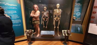 It's difficult to get through more than half of the Field Museum each time we come.  But so much cool stuff!