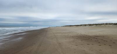 Julie says "It's not beach weather but it's not -3 degrees so...". Had to get up close and friendly with the Atlantic wh