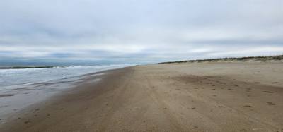 Julie says "It's not beach weather but it's not -3 degrees so...". Had to get up close and friendly with the Atlantic wh