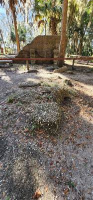 Our "get the juices flowing" vacay hike this morning was at the Wormsloe Historic Site.  Pictures and video don't do the