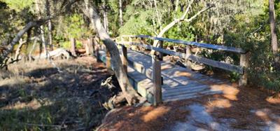 Our "get the juices flowing" vacay hike this morning was at the Wormsloe Historic Site.  Pictures and video don't do the