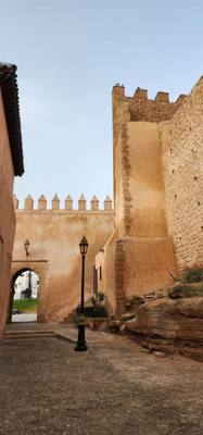 Rocked the Casbah this morning (for you fans of The Clash).
