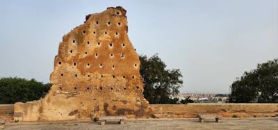 Got to see some ruins of the Hassan mosque. Lots of mosaics in the fountains. The opera house across the street is pur