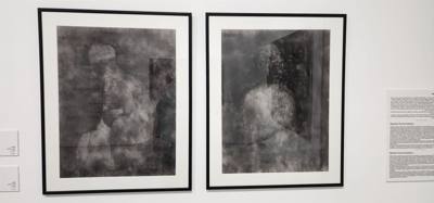 The museum of modern art had some pretty cool stuff. I think my favorites were the 3D wall sculptures. Didn't have a l