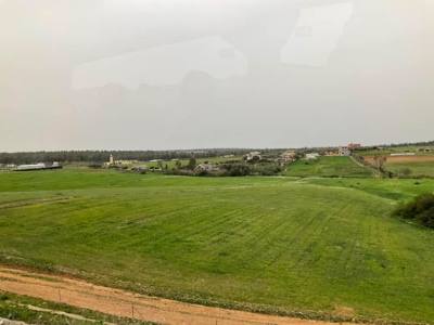 The Moroccan countryside outside of Rabat is mostly flat with some areas of  rolling hills.  Two things you see a lot wh