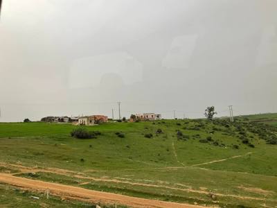 The Moroccan countryside outside of Rabat is mostly flat with some areas of  rolling hills.  Two things you see a lot wh